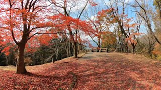 【秩父】美の山、和銅遺跡、聖神社