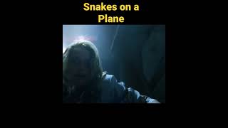 Snakes on a Plane #telugushorts #youtubeshorts