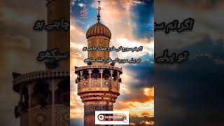 Hazrat Ali Quotes in urdu | secret of success |quotes