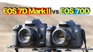 【EOS 7D MarkⅡ VS 70D】写真比較テスト