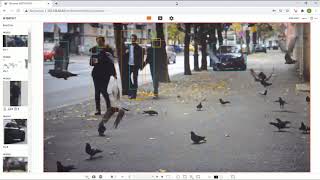 AI camera demo - filter wildlife - Hanwha