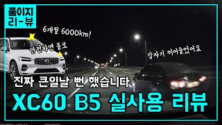 볼보 XC60 6개월 실사용 리뷰ㅣ할인 없는게 장점?ㅣ회피기능 작동 블랙박스 공개