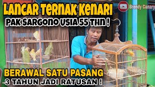 Ternak Kenari Rumahan Produk Lancar • Motivasi Dan Saran Untuk Pemula‼️