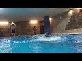 swimming training with teacher kosrat