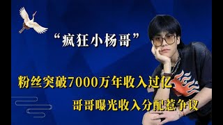 疯狂小杨哥收入过亿？哥哥曝光收入分配惹争议，其实网红只是副业