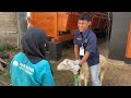 pelatihan manajemen ternak domba bpvp bandung barat x young farmer farm