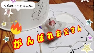 旗を振る可愛い文鳥　お父さんへのサプライズプレゼント【文鳥グッズ】Java sparrow