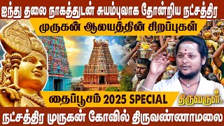 ஐந்து தலை நாகத்துடன் சுயம்புவாக தோன்றிய நட்சத்திர முருகன் ஆலயத்தின் சிறப்புகள்  | Thiruvarul TV