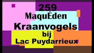 259 MaquÉden Kraanvogels