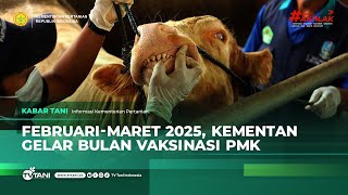 Kementan Galakkan Vaksinasi Hewan Ternak Cegah Penyebaran PMK