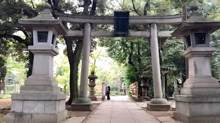 「赤坂氷川神社」を巡る（東京都）