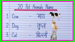 20 Pet Animals Name Hindi and English | Pet Animals Name | Domestic Animals Name
