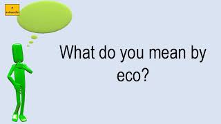 What Do You Mean By Eco?