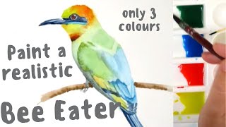 Painting a Watercolour Bee Eater Bird (Step-by-step)