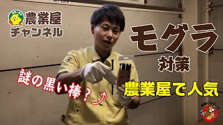 【モグラ対策】刺すだけ簡単！来ん棒のご紹介！【農業屋】