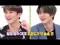 nct 마크 정우 형에서 강아지가 되기까지