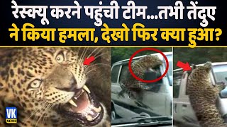 तेंदुए के हमले में 13 लोग घायल, सामने आया चौंकाने वाला वीडियो | Leopard Rescue | Hindi News