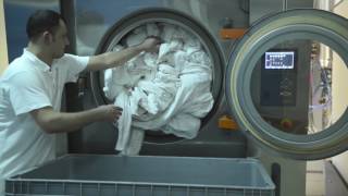 Tolon washers