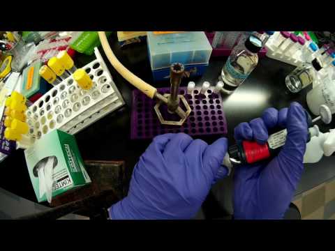 Preparing glycerol stocks for storage at -80C Preparing glycerol stocks for storage at -80C