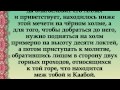 Сахих Бухари. Хадис № 492. Мудрость свыше. Высказывания лучших.