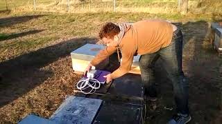 Installation of a Connected Hive Scale for 4 Hives from Connected Beekeeping