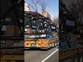 ◯◯運搬トラック🚚岡崎市12 13 shorts