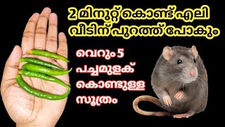 5 പച്ചമുളക് ഉണ്ടെങ്കിൽ എലി വീടല്ല ജില്ല വിട്ടോടും.. മുളക് കൊണ്ട് ഉള്ള സൂത്രം 💯.. Get rid mouse