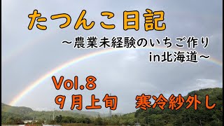 【新規就農】たつんこ日記Vol8　９月上旬　寒冷紗外し【田舎暮らし】