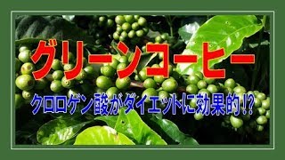 ★グリーンコーヒー クロロゲン酸がダイエットに効果的⁉