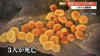 【新型コロナ】1日の死者数で過去最多の3人死亡・全員70歳以上の高齢者　新規感染者も3人（高知） (21/02/05 19:50)