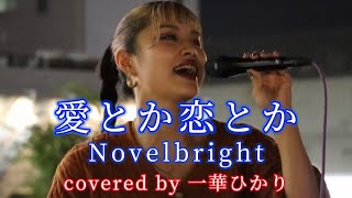 愛とか恋とか/ Novelbright covered by《一華ひかり》 @ichikahikari