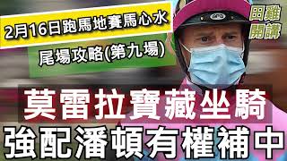 【賽馬貼士】2月16日 跑馬地夜賽 尾場攻略|莫雷拉寶藏坐騎 強配潘頓有權補中