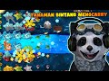 FUSHION TANAMAN BINTANG GG BANGET! LAWAN ZOMBIE JADI EZ! - Plants vs Zombies Fushion #10