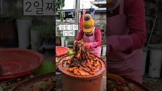 백반의장미 시골 마당에서 김장 60포기 김장김치 2일째 김치 만들기