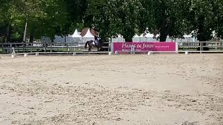 Pazzo / CCI1* Jardy / dressuur