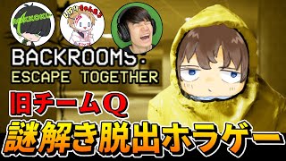 謎の空間から脱出するホラゲー【Backrooms: Escape Together】