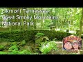 First Day Back In The Smokies Walk in Elkmont and look back at Tremont Hike GSMNP