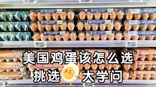 干货！北美超市鸡蛋🥚攻略！鸡蛋怎么选！