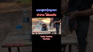 #สูตรปุ๋ยลูกดกเห็นผลจริงทำง่ายใช้ได้ทันที  https://youtu.be/WXsYWTIQkUo