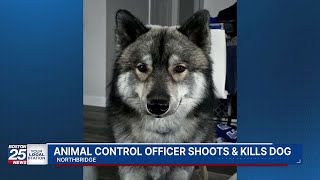 Northbridge animal control officer mistakes dog for coyote, shoots and kills it