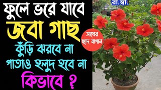 জবা গাছ দারুন ঝাঁকড়া করে প্রচুর ফুল পেতে ৫টি দূর্দান্ত টিপস্। How to get lot's of hibiscus flower?