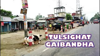 Tulsighat Bazar Gaibandha/তুলসীঘাট বাজার গাইবান্ধা/তুলসীঘাট গ্রাম /A Village Market in Bangladesh