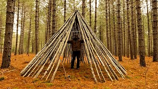 Build a warm shelter, the shelter house is made of 100 large wooden trees-My daily life