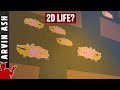 Can life exist in 2D? The physics of a 2D Universe
