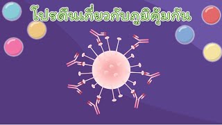 โปรตีนในสิ่งมีชีวิต : โปรตีนเกี่ยวกับภูมิคุ้มกัน