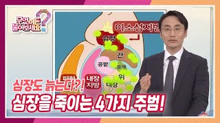 [무엇이든 물어보세요] 심장을 죽이는 4가지 주범! | KBS 220517 방송