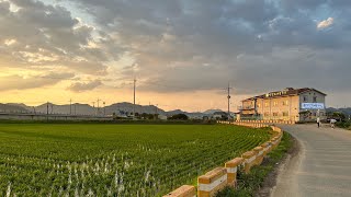 Anseong Countryside Trailer✨