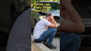 Florida Law says Stay at the Scene of a Crash – ROAD RULES Video for Teens and All Drivers