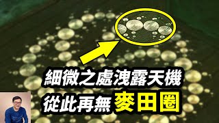 被當做外星人鐵證的「麥田圈之母」，到底洩露了怎樣的天機？坐等美軍UFO報告【老肉雜談】