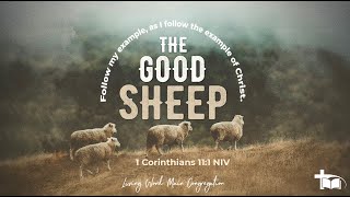 Marcus Norden - The Good Sheep (2022/10/23 11:15 Service)